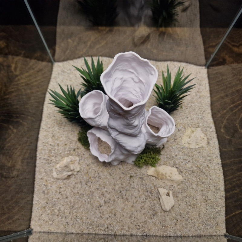 Aquarium Fish Sale - Promotion : Décoration 3D Imprimée pour