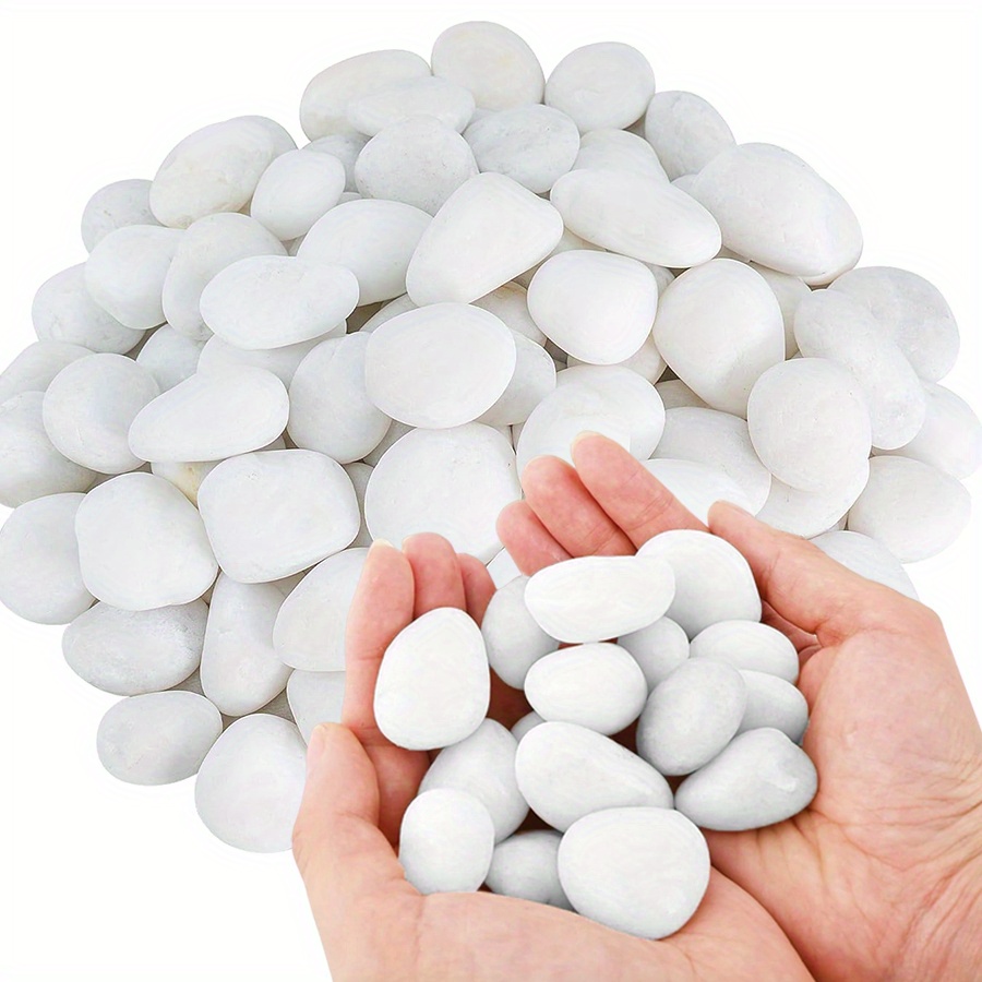 Aquarium Fish Bowl - Cerfsets naturels blancs hautement polis, 200/400g,