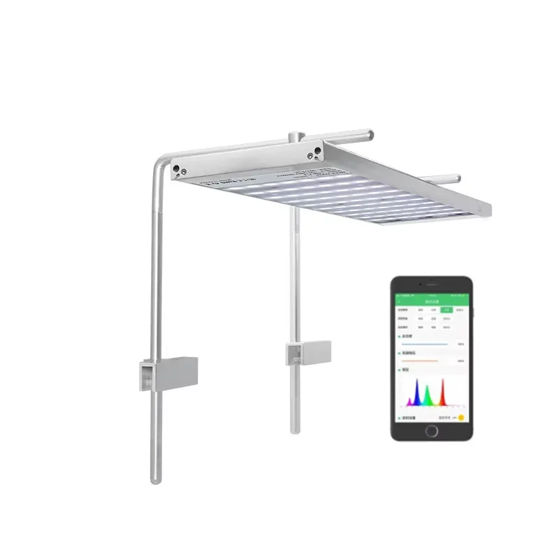 Aquarium Fish Sale - Promotion : Lampe LED à pince