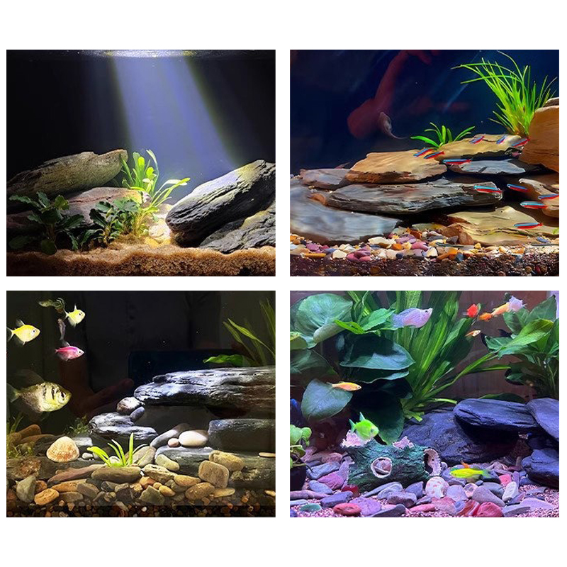Kit de pierres paysagères pour - Aquarium Fish Bowl avis et prix
