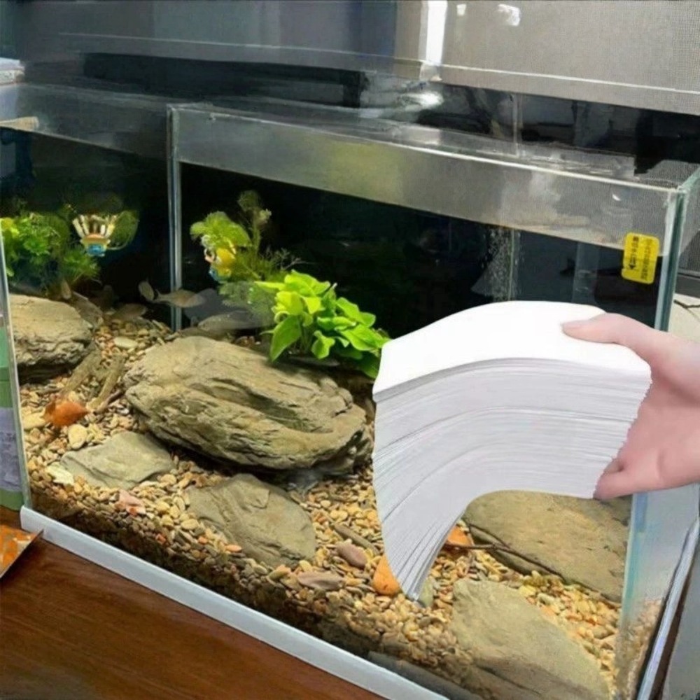 50 pièces de papier filtrant m - Aquarium Fish Yellow avis et prix