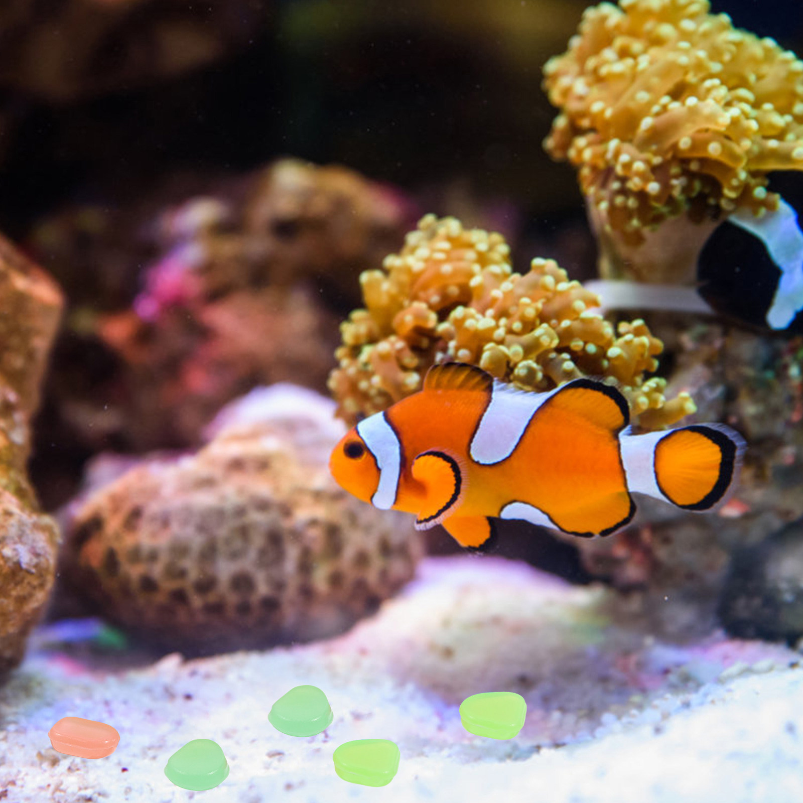 400 pièces de galets lumineux  - Aquarium Fish Glow In The Dark avis et prix