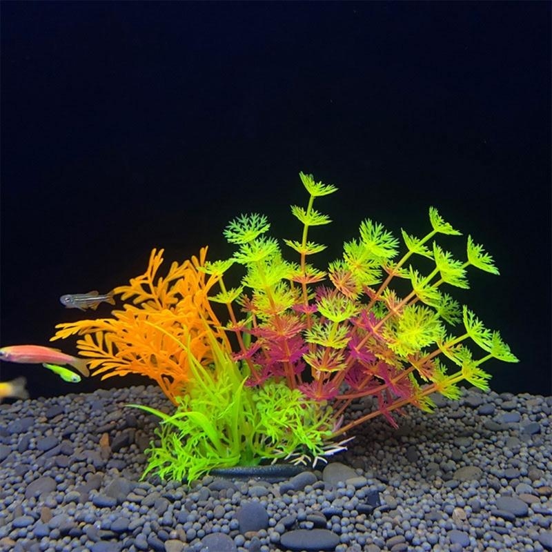 Décoration d'aquarium artifici - Aquarium Fish Sale avis et prix