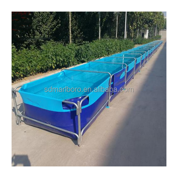Aquariums carrés transparents  - Aquarium Fish Sale avis et prix