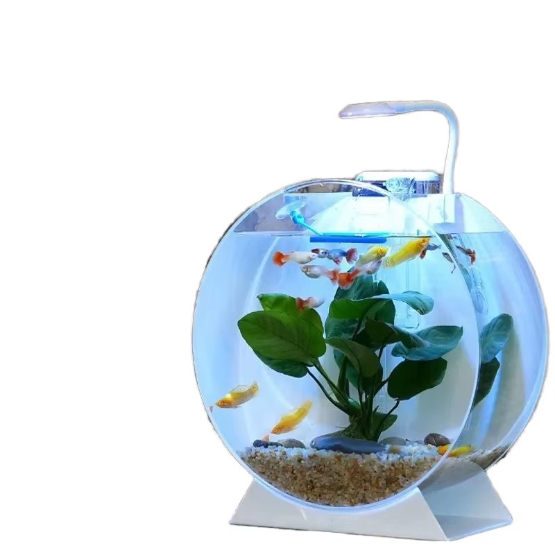 Aquarium de bureau multi-taill - Aquarium Fish Sale avis et prix