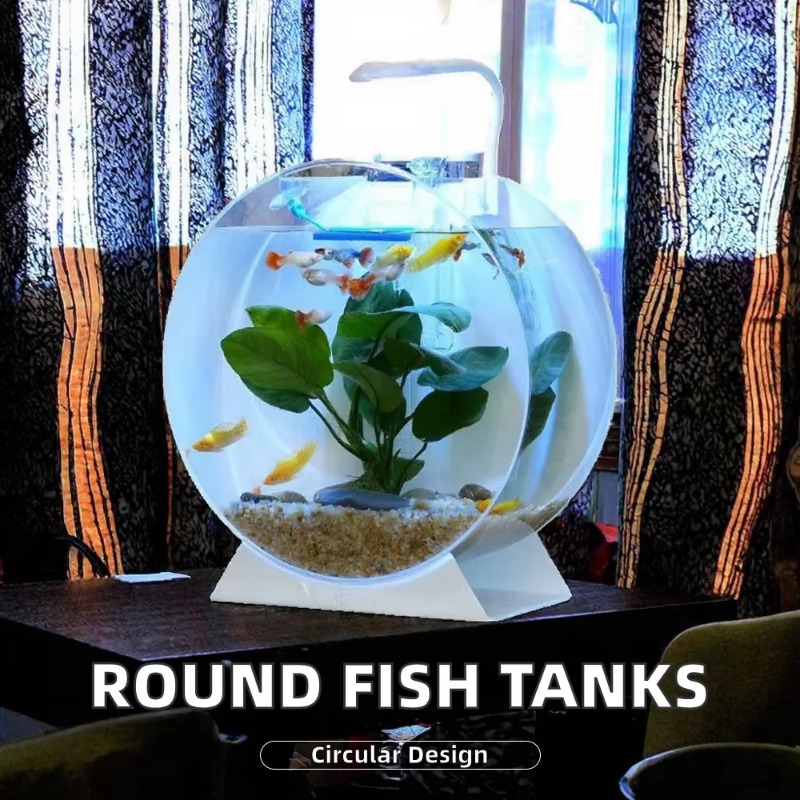 Aquarium de bureau multi-taill - Aquarium Fish Sale avis et prix