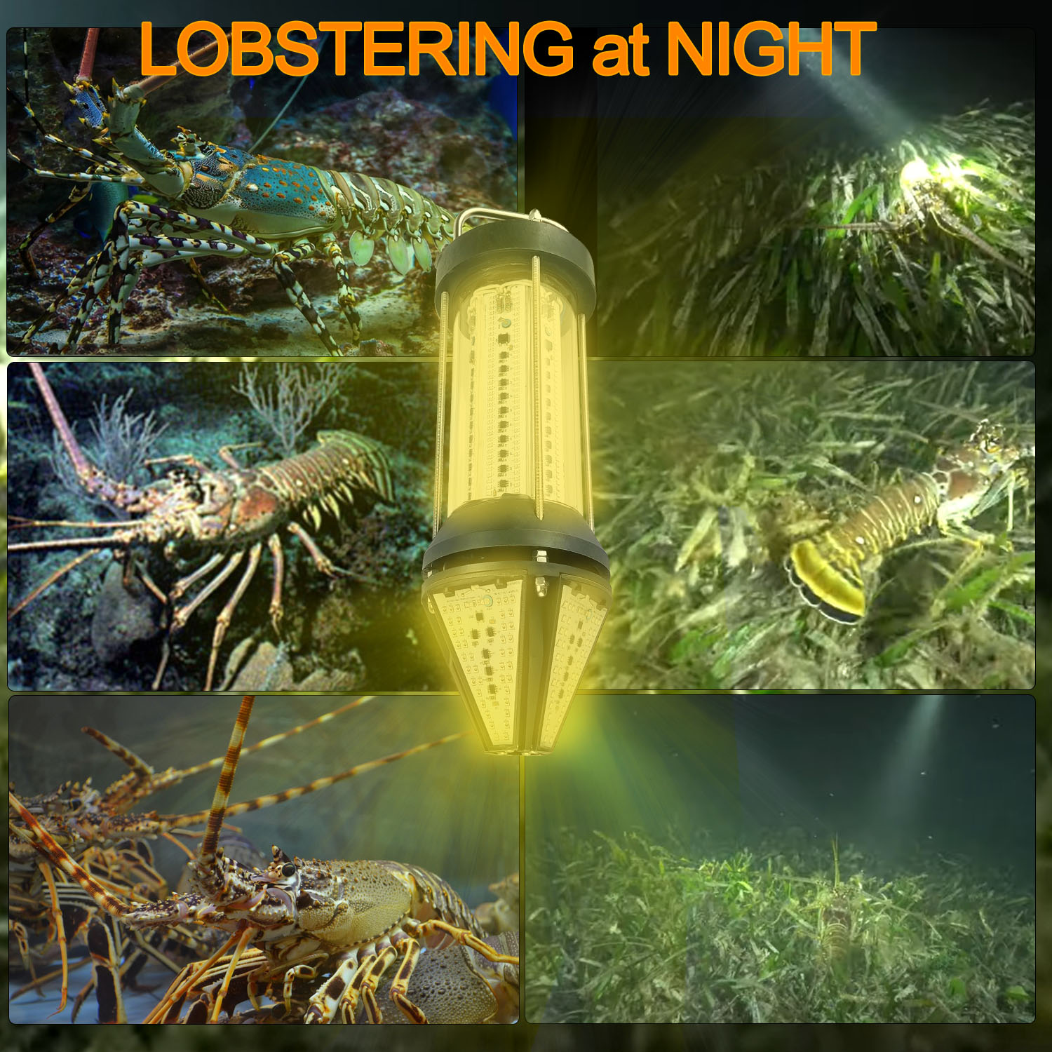 Lampe de pêche sous-marine ver - Aquarium Fish Yellow avis et prix