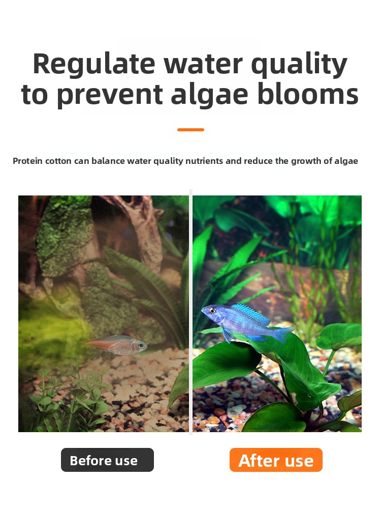 Coton protéiné AC spécial pour - Aquarium Fish Yellow avis et prix