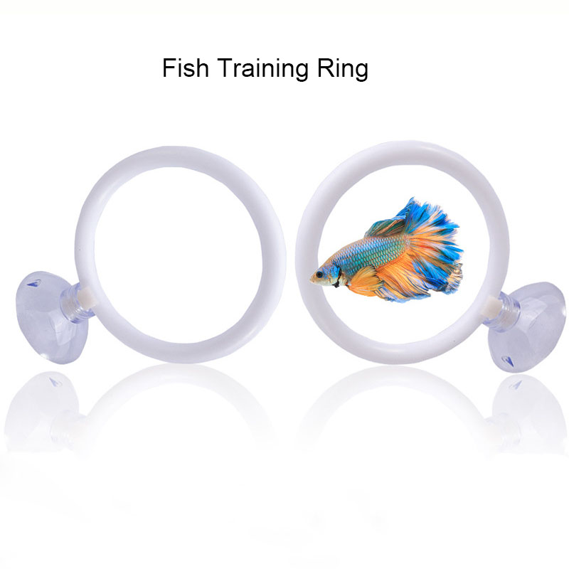 1 pièce Ensemble d'anneaux d'e - Aquarium Fish Hide avis et prix