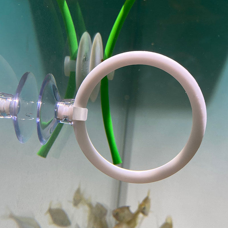 1 pièce Ensemble d'anneaux d'e - Aquarium Fish Hide avis et prix