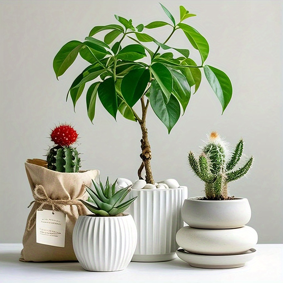 Cerfsets naturels blancs haute - Aquarium Fish Bowl avis et prix