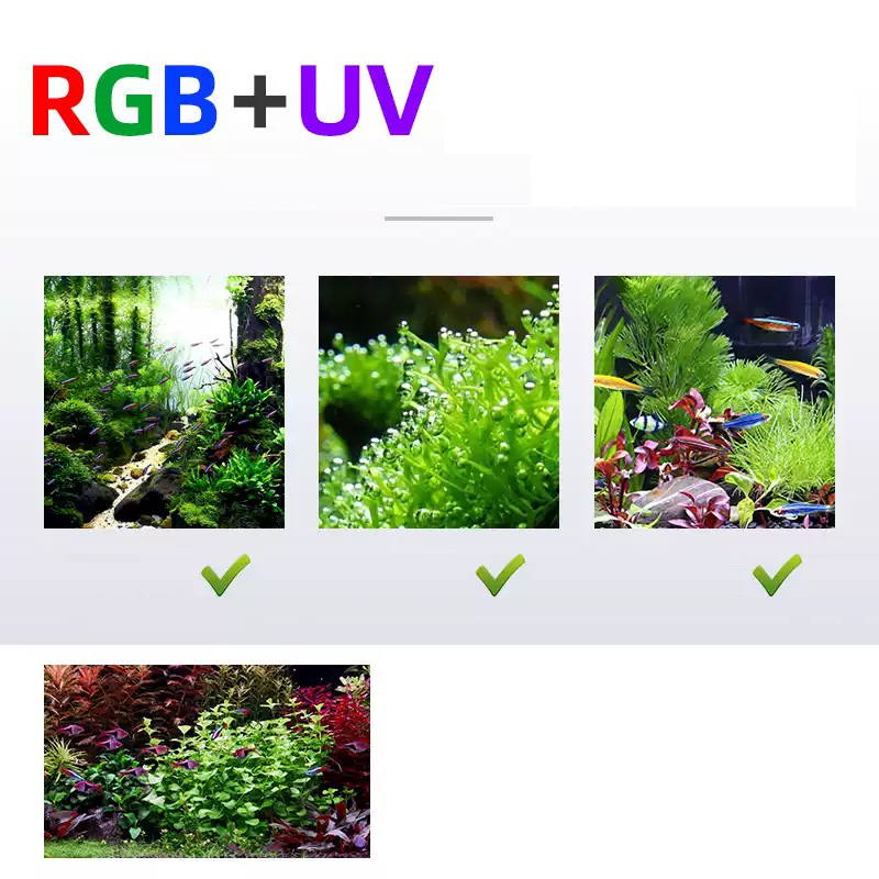Éclairage Led 60cm 80cm 90cm R - Aquarium Fish Sale avis et prix