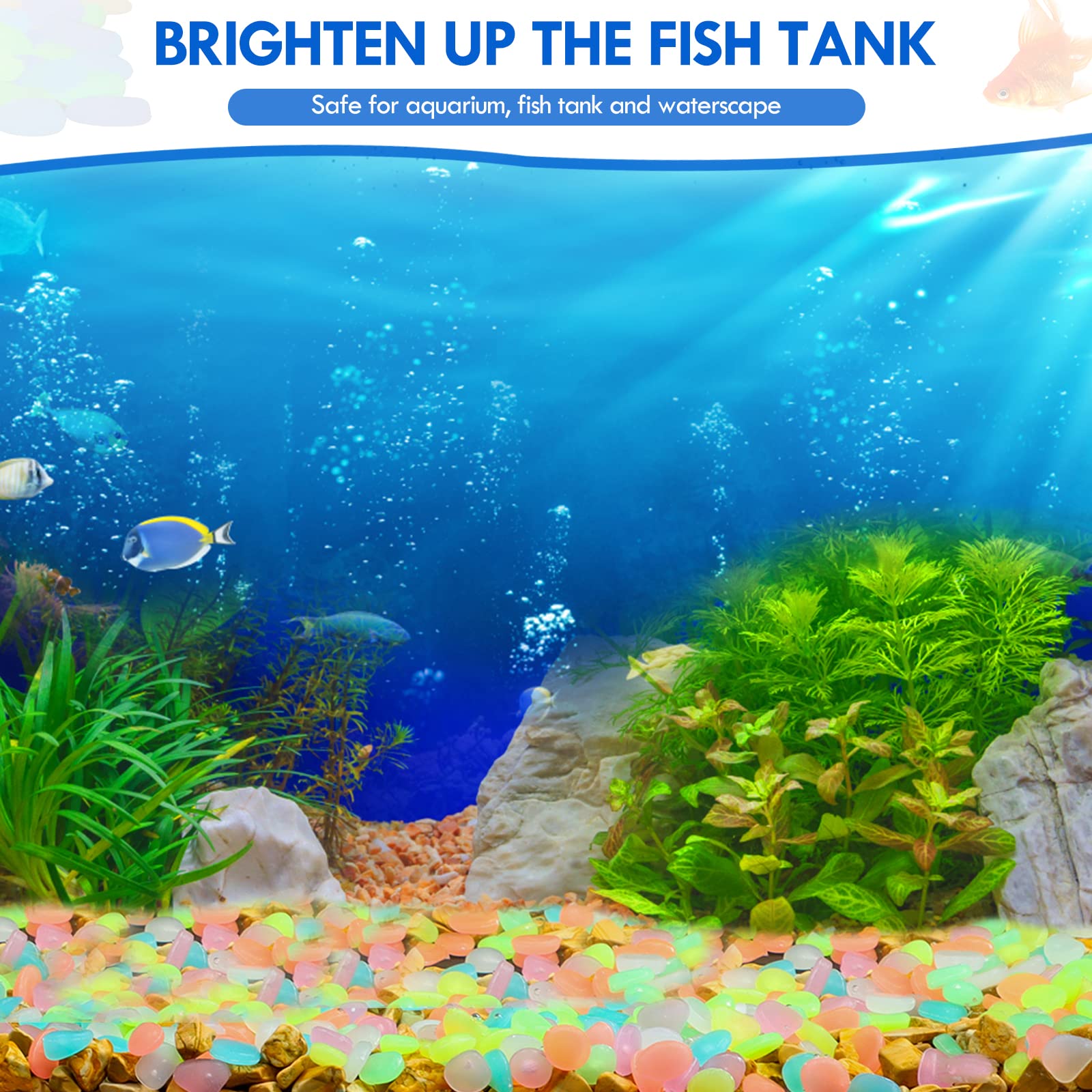 100 pièces brillent dans le no - Aquarium Fish Glow In The Dark avis et prix