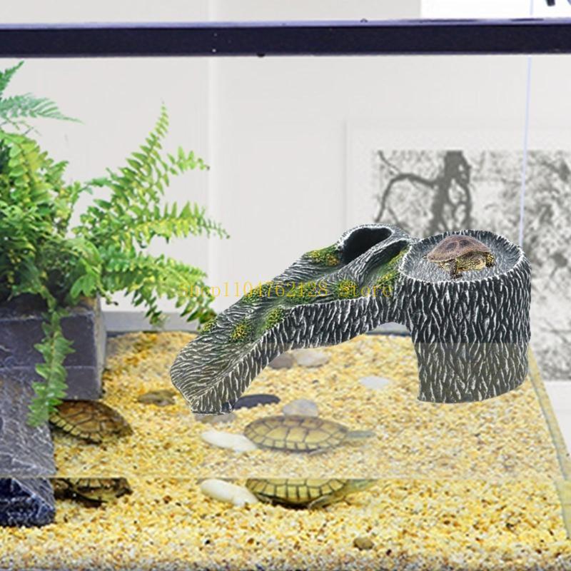 Terrariums plate-forme lézarda - Aquarium Fish Sale avis et prix