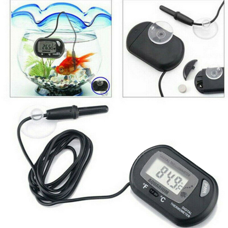 Thermomètre numérique pour Aqu - Aquarium Fish Yellow avis et prix
