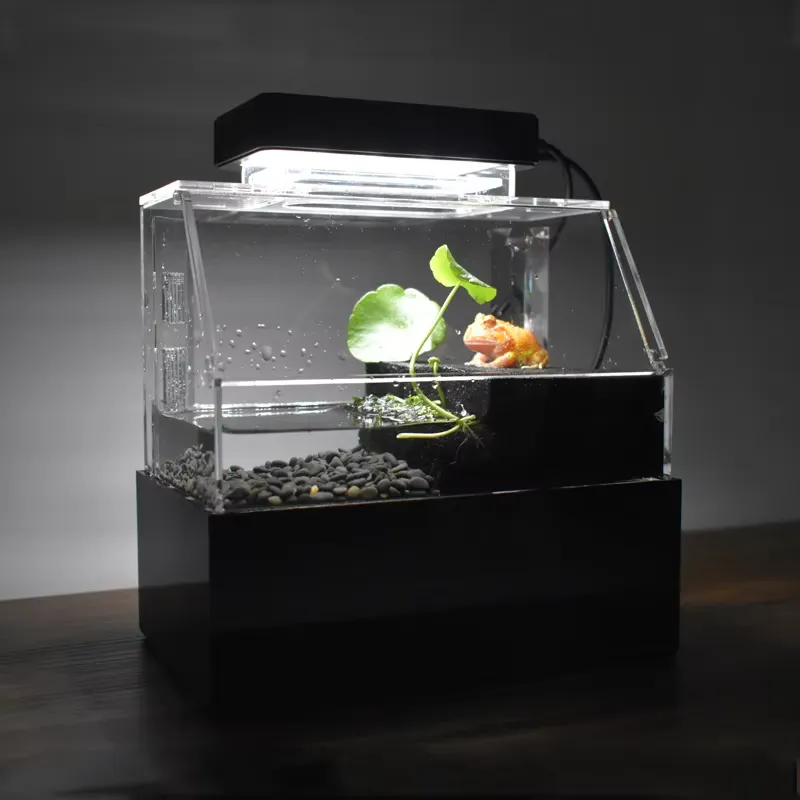 Aquarium de bureau personnalis - Aquarium Fish Sale avis et prix